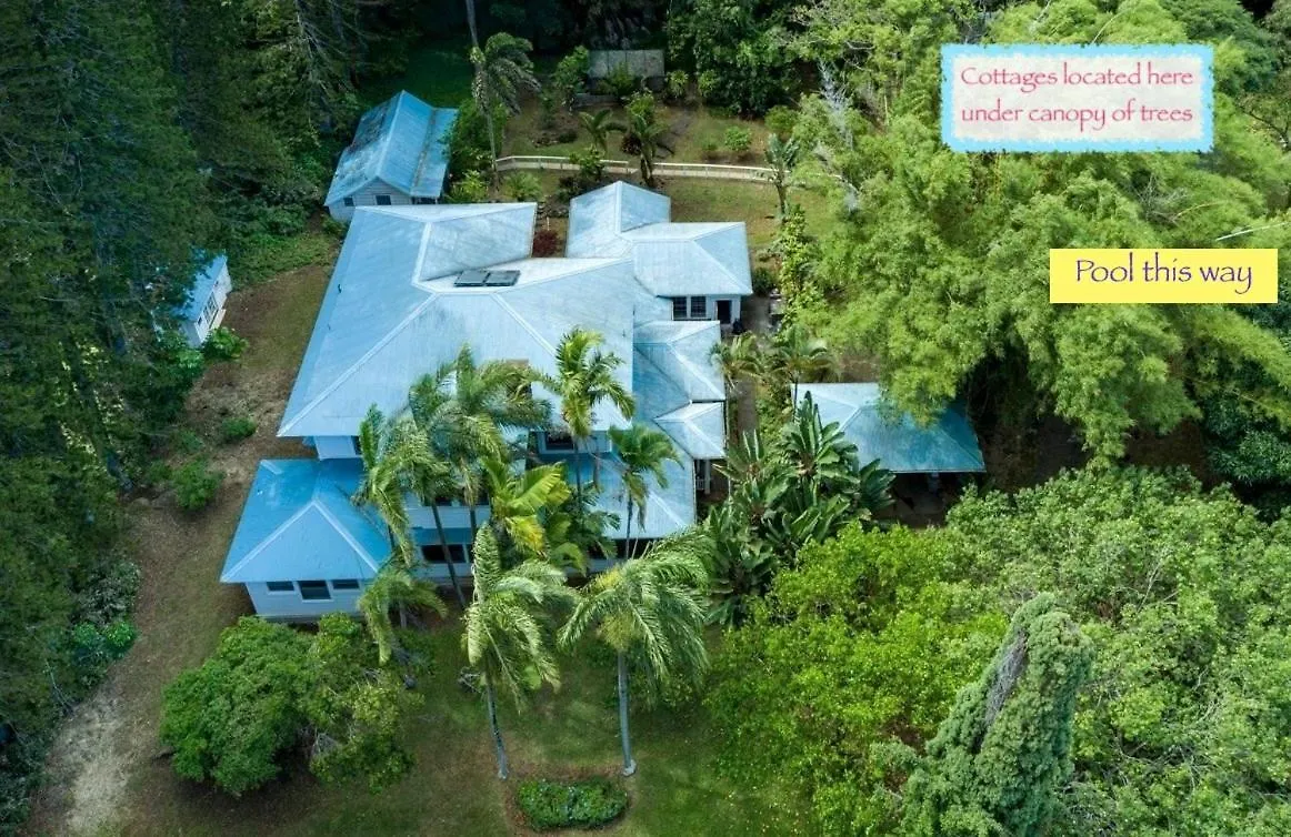 Eco-Boutique Guest House At Aloha Boutique Hotel United States